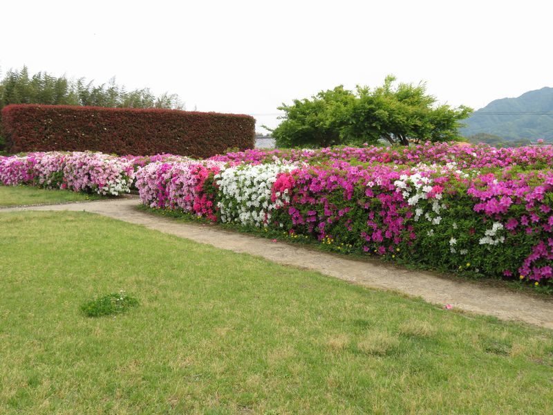 d0065113_10364940.jpg