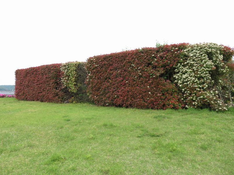 d0065113_10383008.jpg