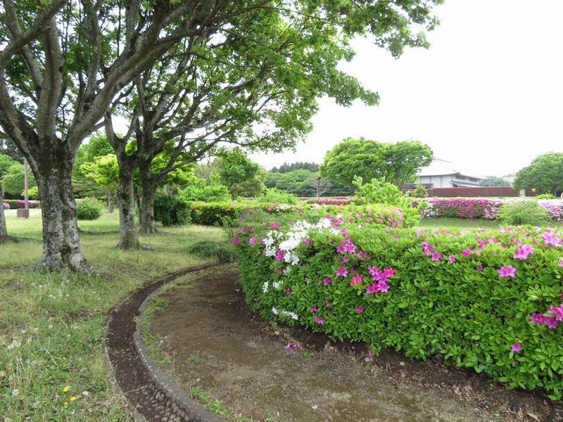 d0065113_10414405.jpg