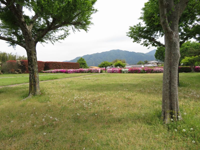 d0065113_10452090.jpg