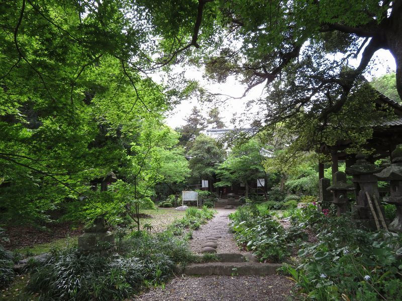 d0065113_21044575.jpg