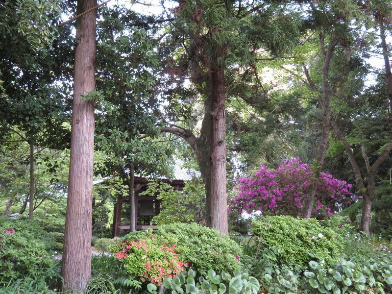 d0065113_21073962.jpg