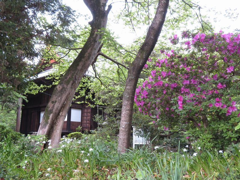 d0065113_21092027.jpg