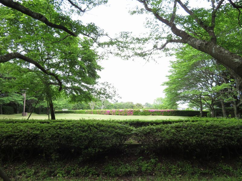 d0065113_21125164.jpg
