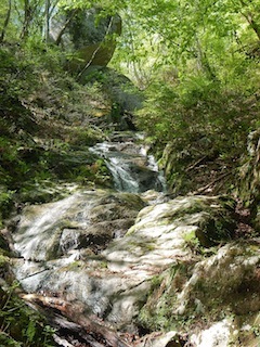 c0359615_10013374.jpg