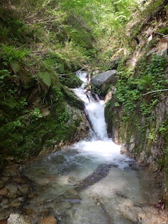 c0359615_10021828.jpg