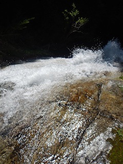 c0359615_10022615.jpg