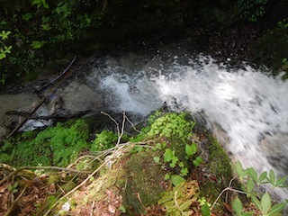 c0359615_10023698.jpg