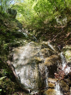 c0359615_10030698.jpg