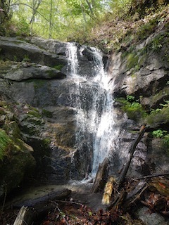 c0359615_10033234.jpg