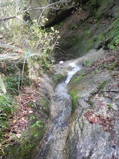 c0359615_10034470.jpg