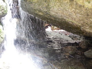 c0359615_10040041.jpg