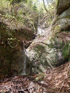 c0359615_10042378.jpg