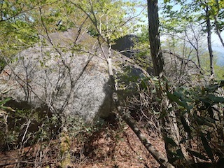 c0359615_10044868.jpg