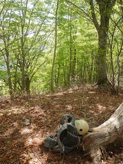 c0359615_10055063.jpg