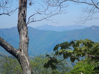 新緑のブナを求めて…おいわ山から長尾_c0359615_10061896.jpg