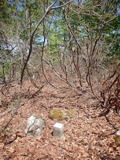c0359615_10063333.jpg