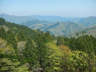 新緑のブナを求めて…おいわ山から長尾_c0359615_10065794.jpg