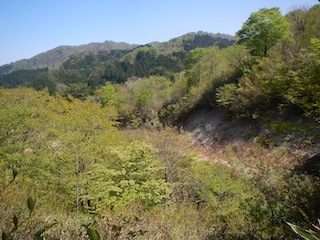 新緑のブナを求めて…おいわ山から長尾_c0359615_10071996.jpg