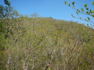 c0359615_10091245.jpg