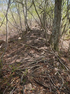 c0359615_10092858.jpg