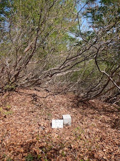 c0359615_10095314.jpg