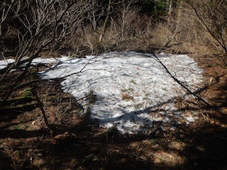 c0359615_10102057.jpg