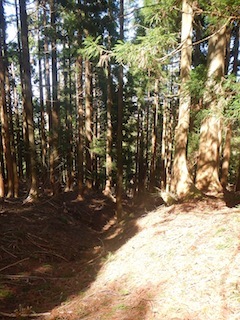 c0359615_10103696.jpg