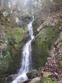 c0359615_10105070.jpg