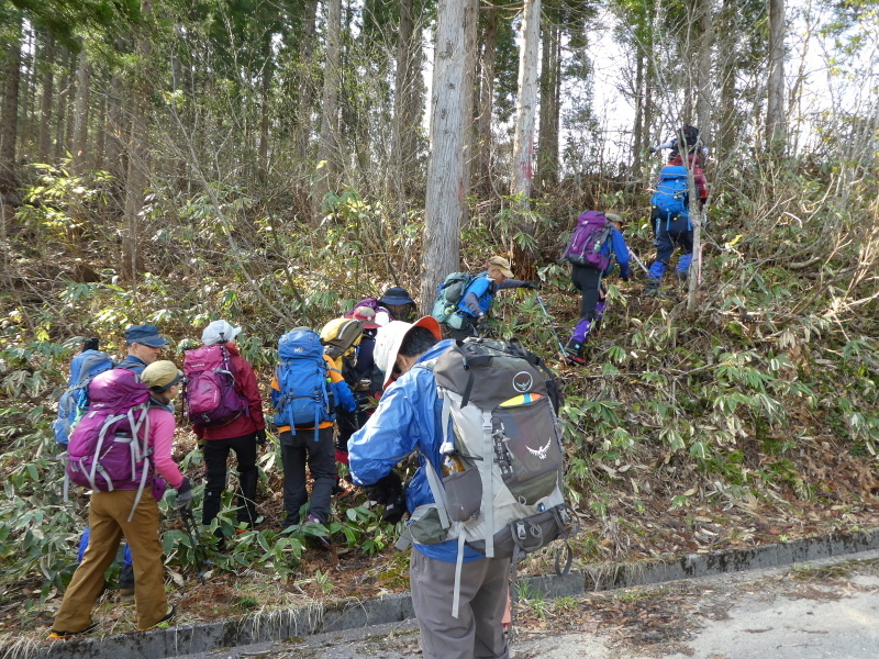 みのハイク山行　桑崎山 (1,728.0M)  中腹まで登る_d0170615_23122839.jpg