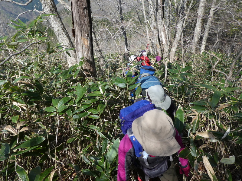 みのハイク山行　桑崎山 (1,728.0M)  中腹まで登る_d0170615_23124278.jpg