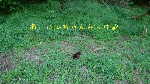 b0187620_17505177.jpg
