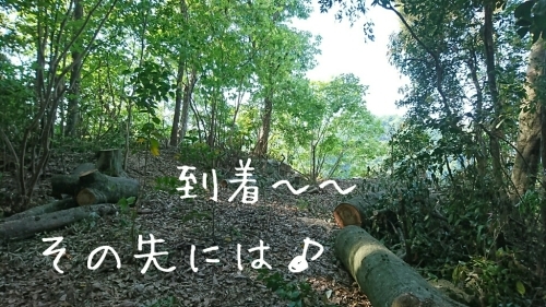 b0187620_17511430.jpg