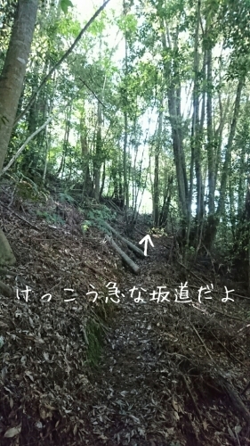 b0187620_20581359.jpg