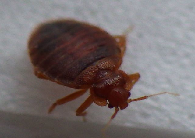e0098223_20303130.jpg