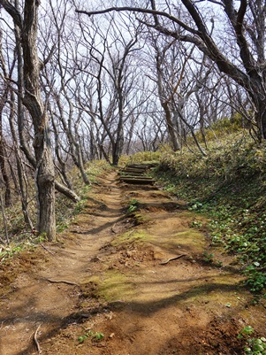 c0204725_11521799.jpg