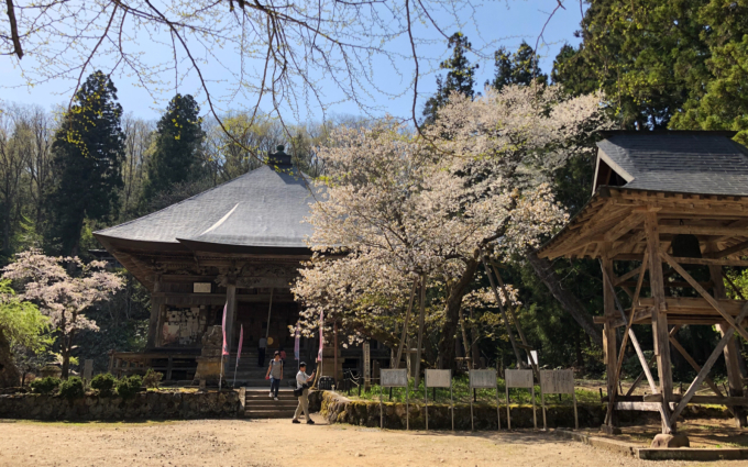 法用寺 虎の尾桜  会津美里町_c0229025_14235194.jpg