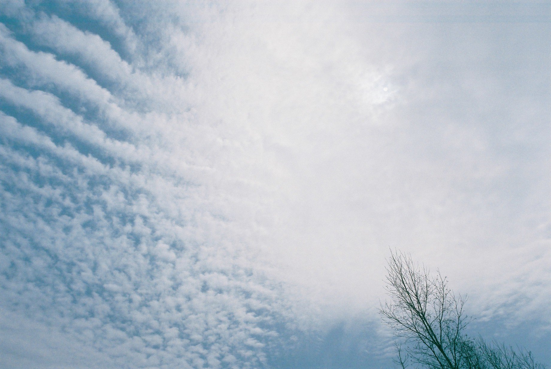 f0362725_19025225.jpg