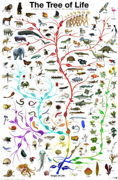 c0035230_00391466.png