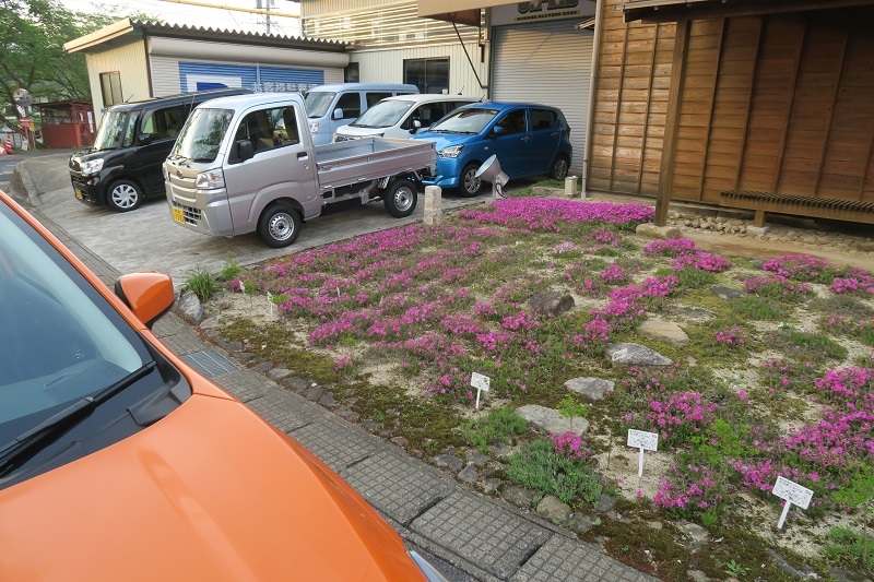 一皮剥けたコンチ・クロス・コンタクト・LX スポーツを考察_f0076731_20033356.jpg