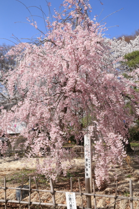 f0229832_09295890.jpg