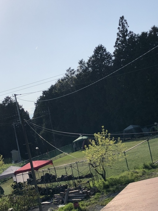 b0369239_14315559.jpeg