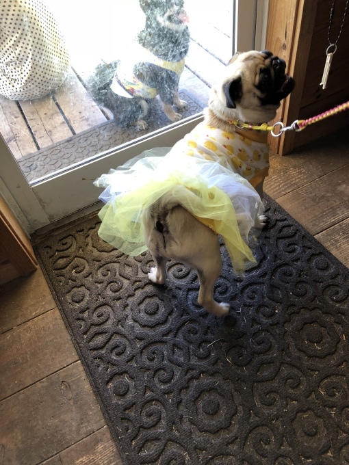 b0369239_14332361.jpeg
