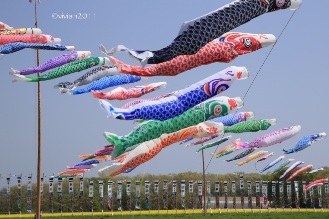 那須　圧巻の菜の花畑　～那須ハートフルファーム～_e0227942_22385921.jpg