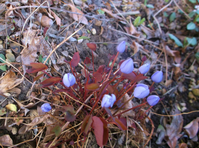 c0006745_06295901.jpg