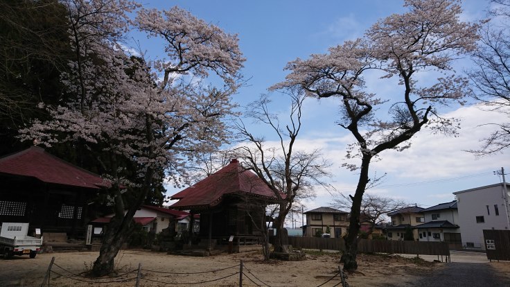 桜巡り６　鹿嶋神社　＠福島県白河市_f0048546_01052002.jpg