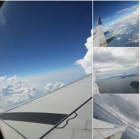 ラテックス・アレルギー 美容院のシャンプー台ゴムが怖い!_f0073848_22322607.png