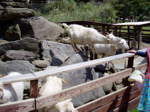c0017651_14391499.jpg