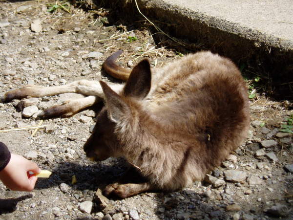 c0017651_14481868.jpg