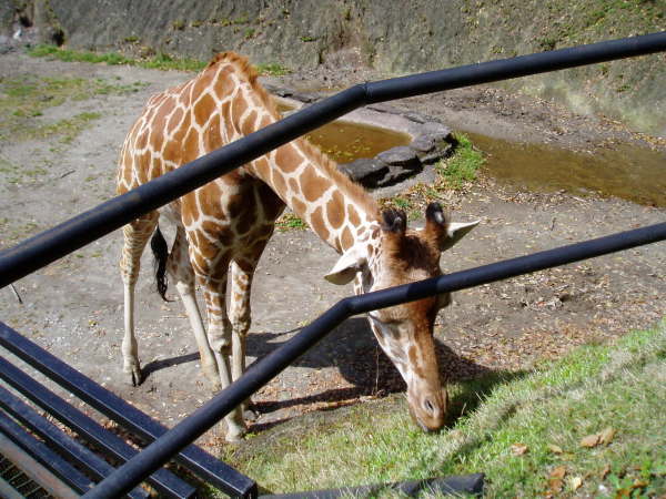 c0017651_14552605.jpg